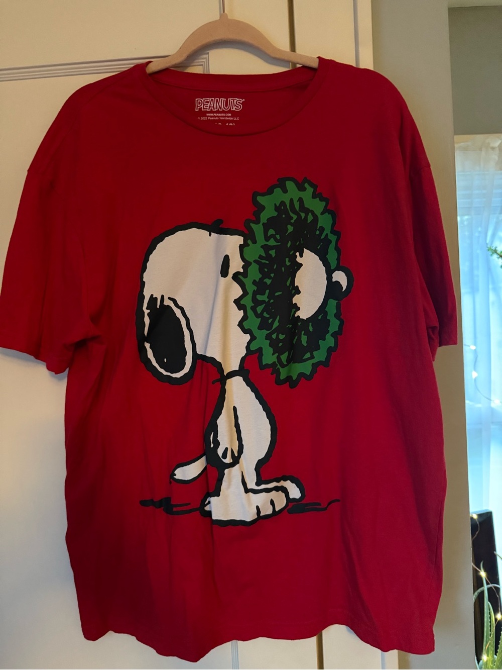 Peanuts Red Tee with Green and Black Graphic